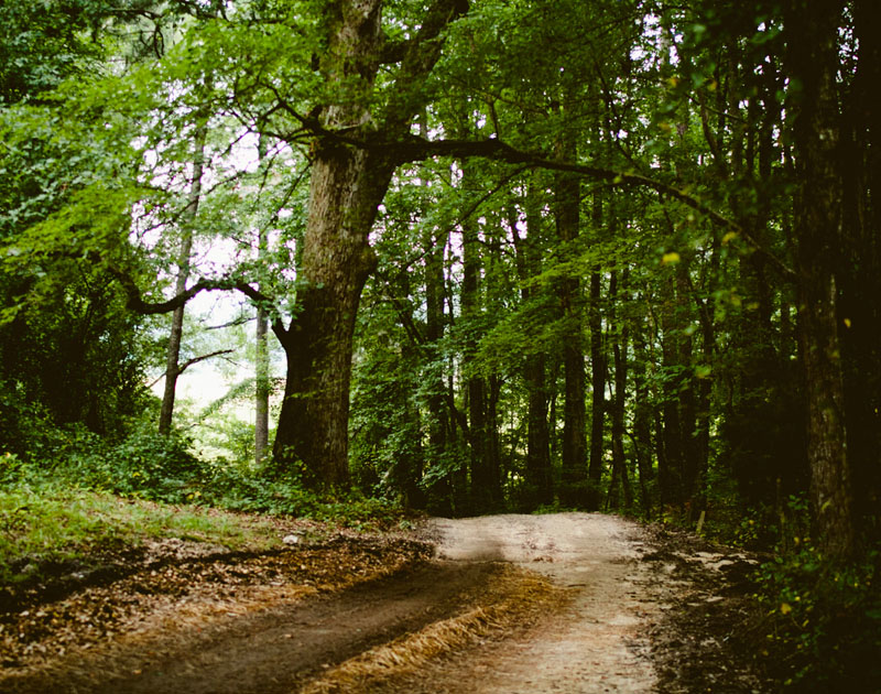 超强性能持久的短信轰炸网页版